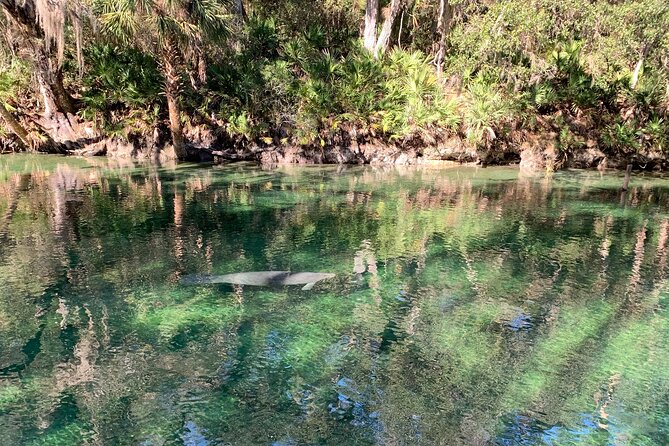 Orlando Manatee and Natural Spring Adventure Tour at Blue Springs - Gear and Preparation