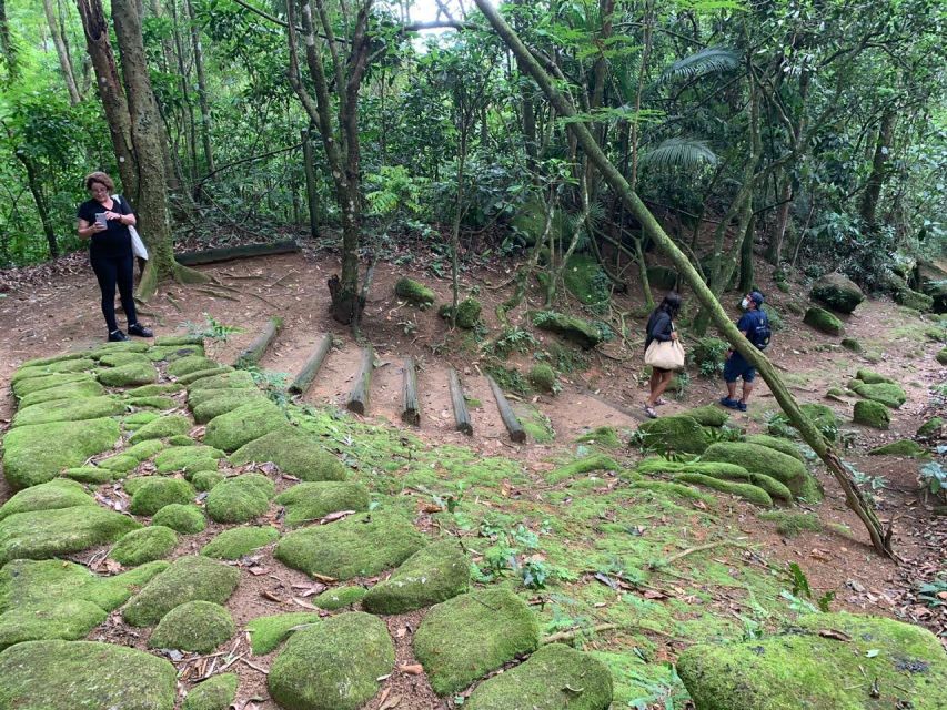 Paraty: Gold Trail Rainforest Hiking Tour - Tips for an Enjoyable Experience