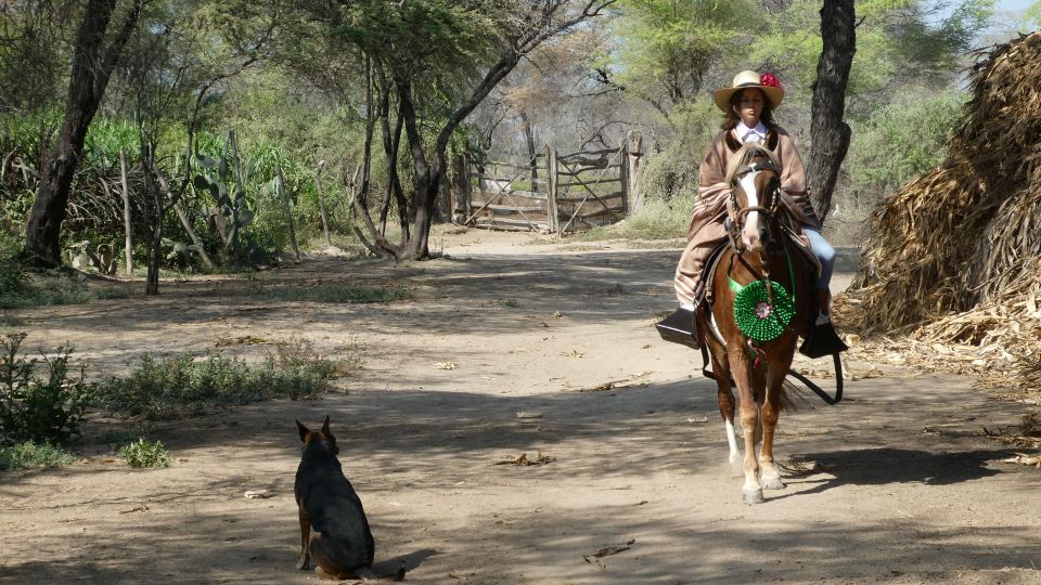 Peru, Chiclayo: 1 Day Horseback Riding and Ancient Pyramids - What to Expect