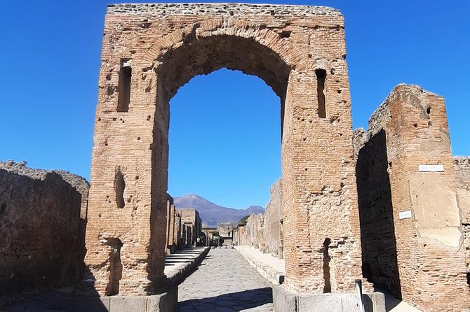 Pompeii for Kids - Private Tour - Accessibility and Special Needs