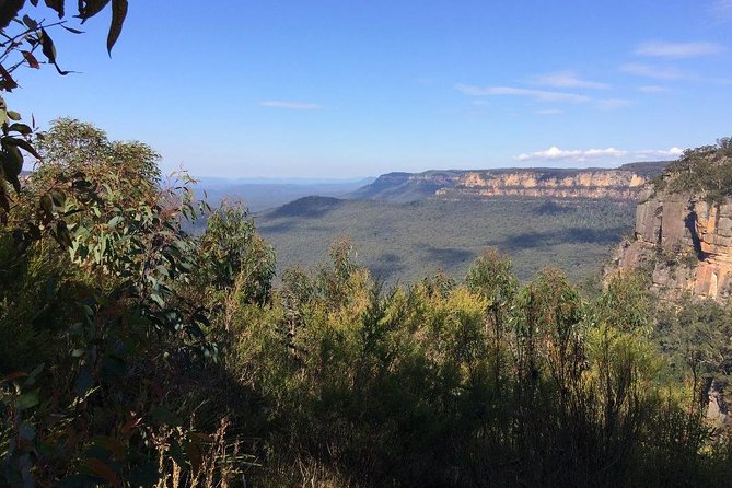 PRIVATE Blue Mountains Day Tour From Sydney With Wildlife Park and River Cruise - Tips for a Great Tour