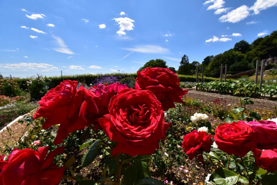 Private Day Tour to Chartwell, Home of Sir Winston Churchill - How to Book Your Tour