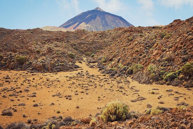 Private Excursion to Teide National Park - Unique Experiences Offered