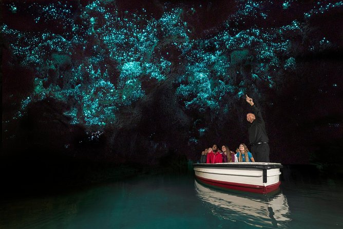 Private Tour From Auckland - Waitomo Glowworm Caves, Zealong Tea & Kiwi Bird - Customer Reviews and Feedback