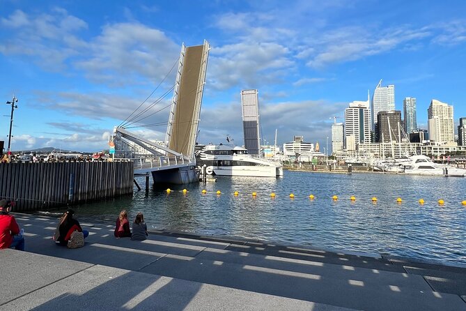 Private Transfer From Auckland Domestic Airport To Auckland City - Customer Reviews and Ratings