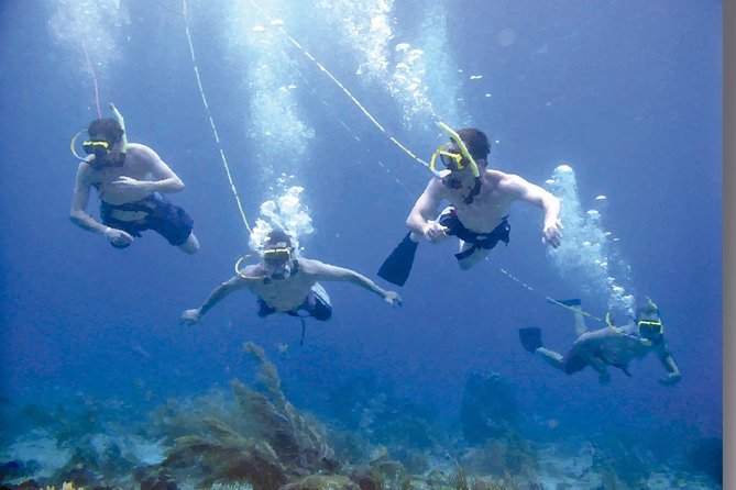 Punta Cana Party Cruise With Snorkeling, Hooka Diving and Parasailing - Tips for a Great Experience