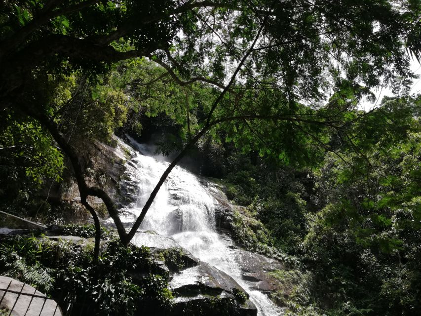 Rio De Janeiro: Tijuca Forest Waterfall of Souls Hike - Tips for a Successful Hike