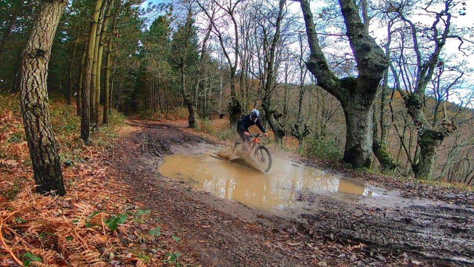 San Sebastián: Basque Country Mountain Bike Exploration - Meeting Point