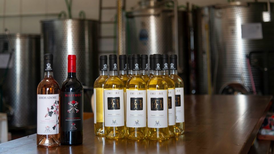 Sardinia: Dorgali Winery Tour With Tasting and Local Guide - Customer Feedback and Ratings