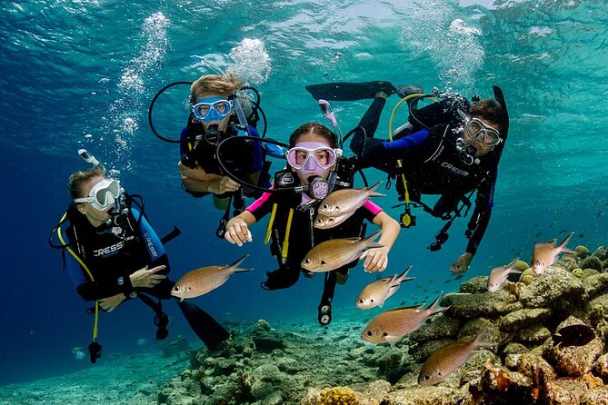 Side Scuba Diving With Under Water Museum: 2 Dives With Lunch And Free Transfer - Additional Services and Options