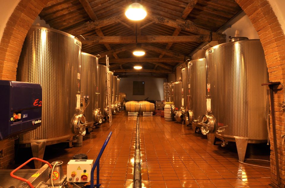 Siena: Educational Wine Tour & Tasting - Local Culinary Delights