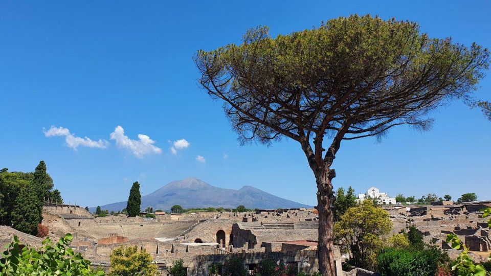 Sorrento: Skip-the-Line Pompeii Express Tour by Train - Booking Information