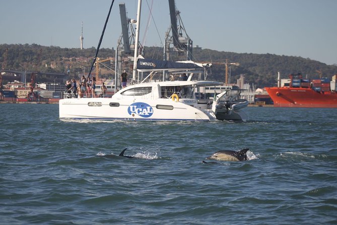 Sunset Catamaran in Lisbon | Drinks and Music - Booking Your Catamaran Adventure