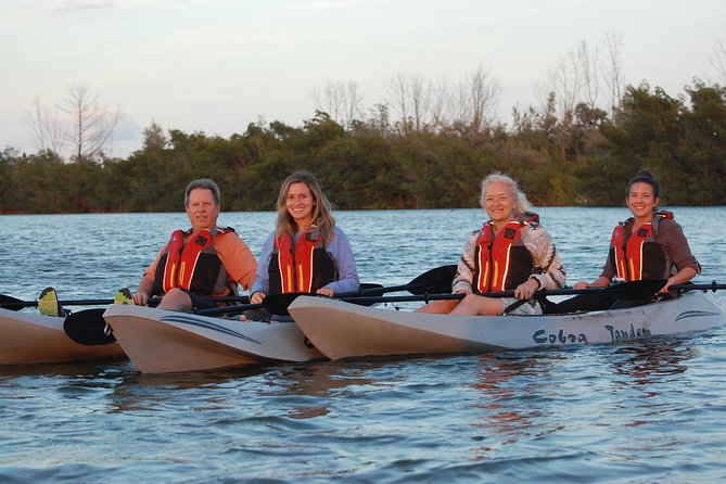 Sunset Tour Mangrove, Dolphins, Manatee #1 Rated in Cocoa Beach - Booking Information