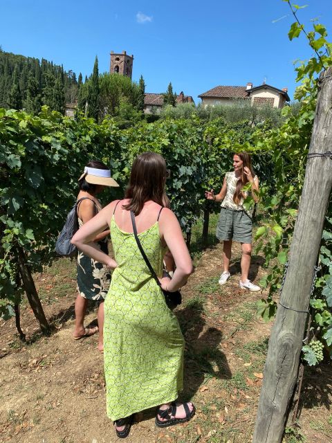 Tasting in a Vineyard With Transfer From Lucca - Tips for a Great Experience