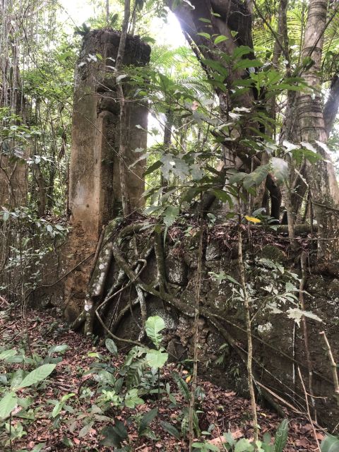 Ubatuba - Circuit Trail Beach of the Lagoon - Booking and Cancellation Policies