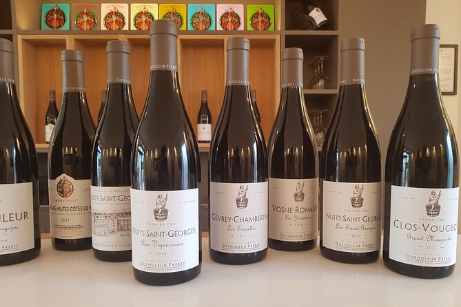 Visit Domaine Bourgogne - Guided Wine Tasting - Tips for Your Visit