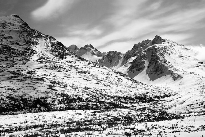 Yukon Suspension Bridge and Summit Tour - Contact Information