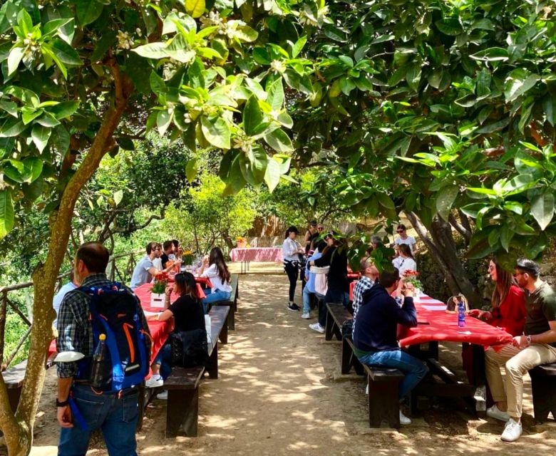 Agrigento: Valley of the Temples Gardens Picnic Experience - Frequently Asked Questions