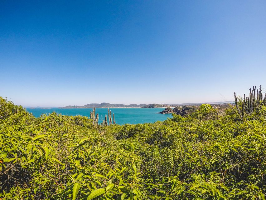 Armação Dos Búzios: Walk Through the Natural Pools in Búzios - Frequently Asked Questions