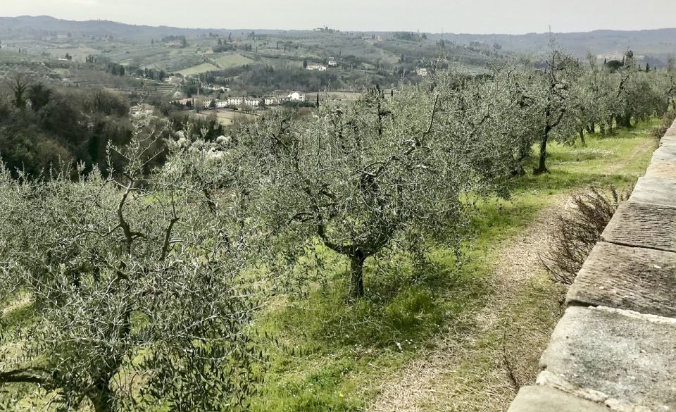 Florence: Charterhouse Guided Tour and Hills Walking Tour - Meeting Point and Schedule