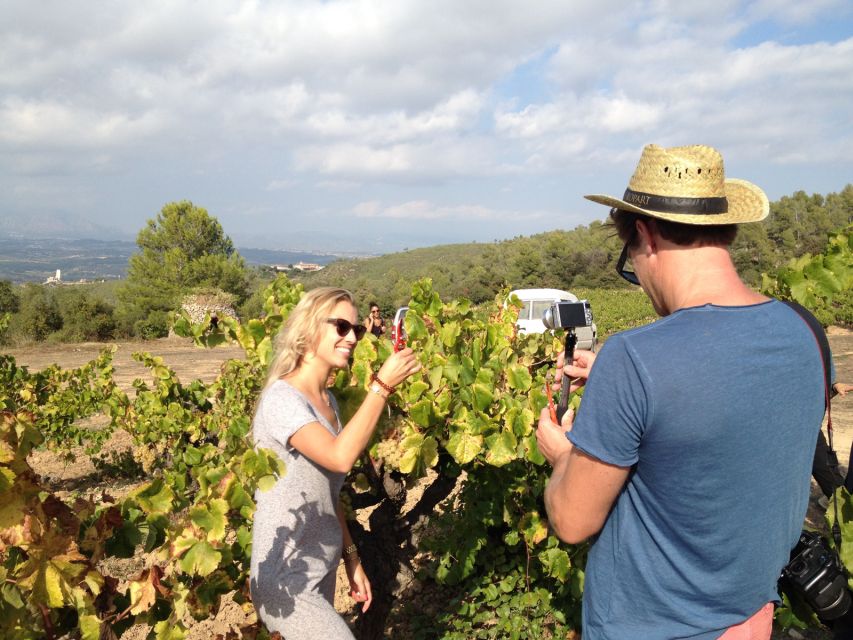 From Barcelona: Montserrat Lunch & Wine Tasting in Vineyard