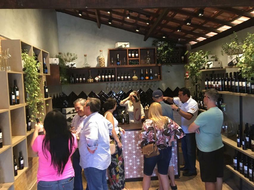 From São Paulo: São Roque Wineries Route and Shopping Tour - Frequently Asked Questions