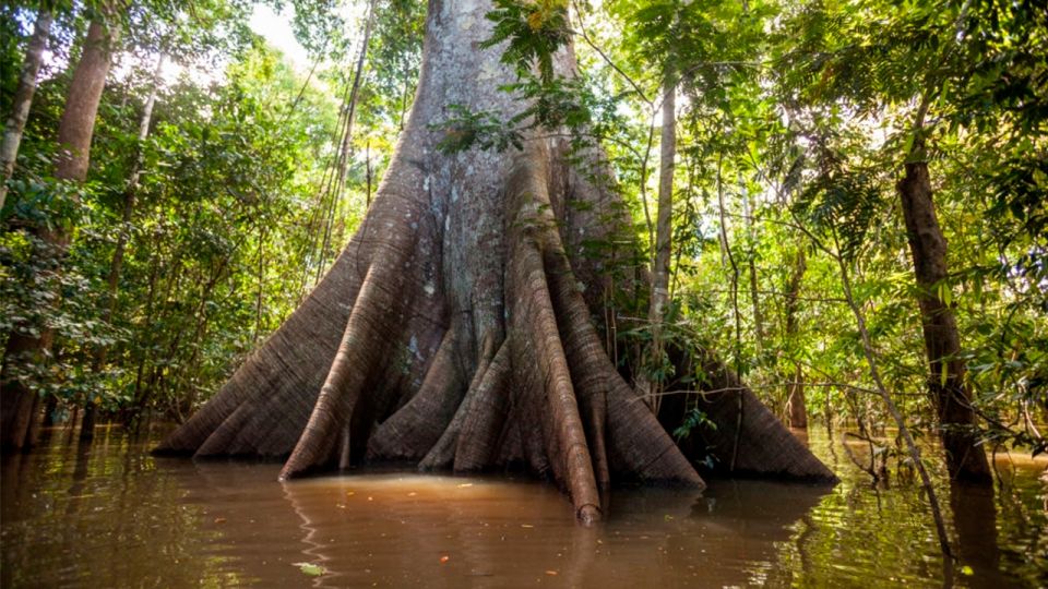 Iquitos: 6-Hour Wonderful Wildlife Guided Tour - Recap