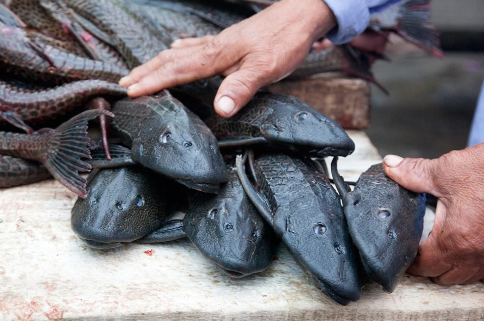 Iquitos: Visit the Exotic Belén Market + Venice Loretana - Frequently Asked Questions