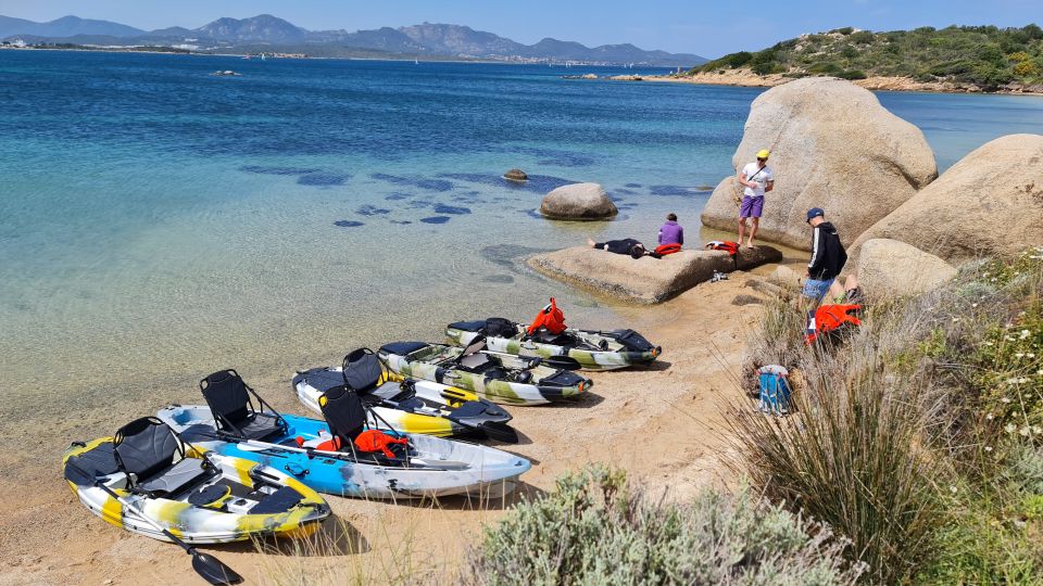 Kayak Tour in Cala Moresca - Aperitif and Dolphin Watching - Frequently Asked Questions