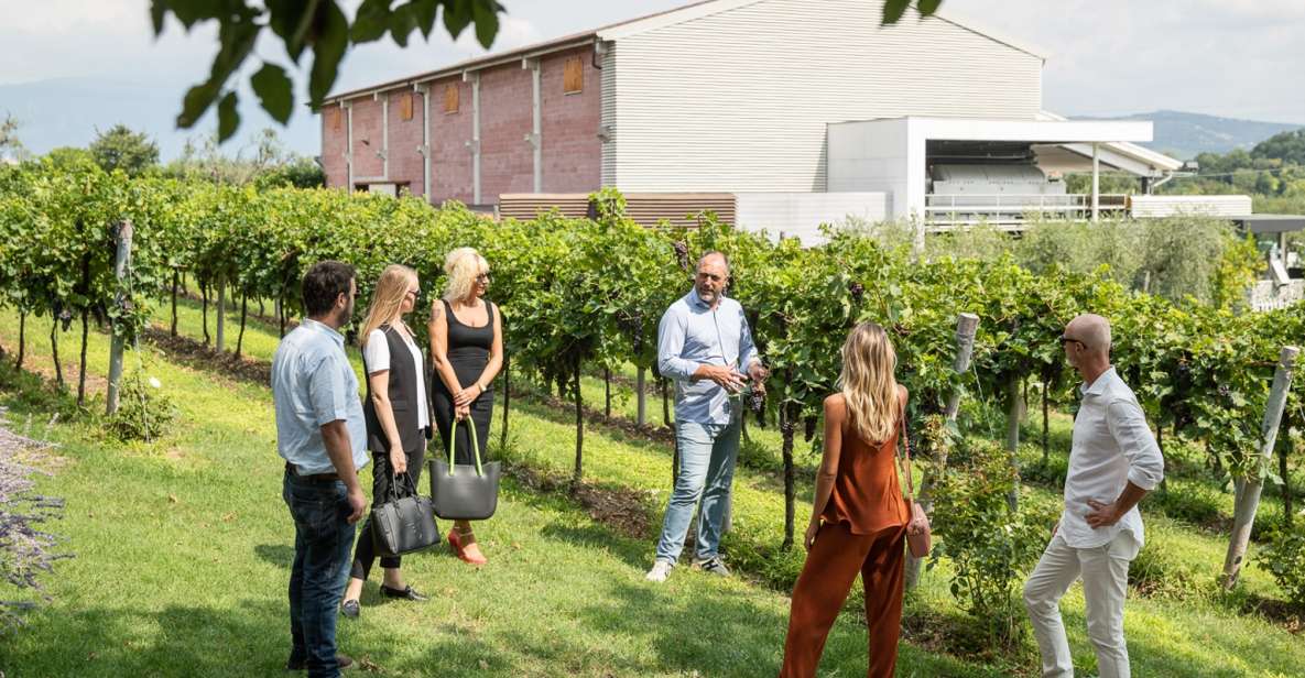 Lazise: Vineyard Tour and Organic Wine Tasting - Frequently Asked Questions