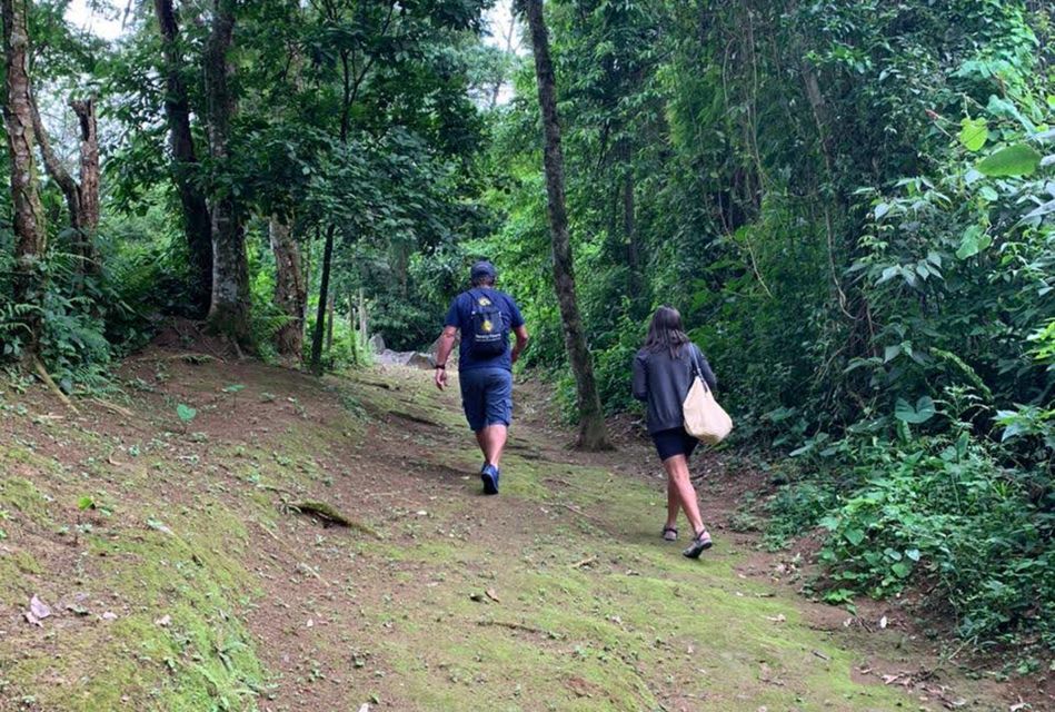 Paraty: Gold Trail Rainforest Hiking Tour - Frequently Asked Questions