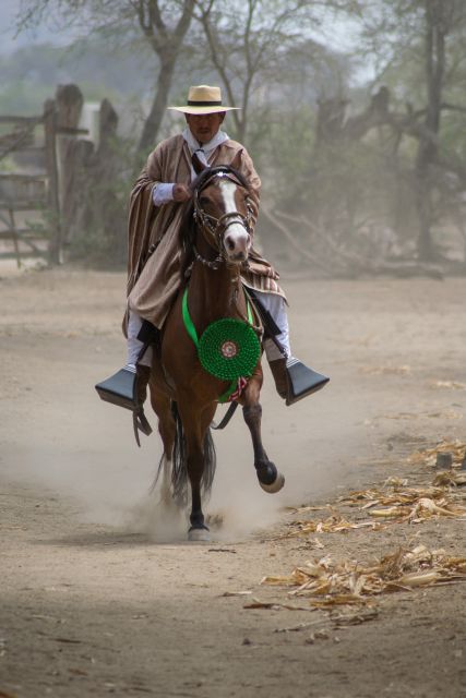 Peru, Chiclayo: 1 Day Horseback Riding and Ancient Pyramids - Frequently Asked Questions