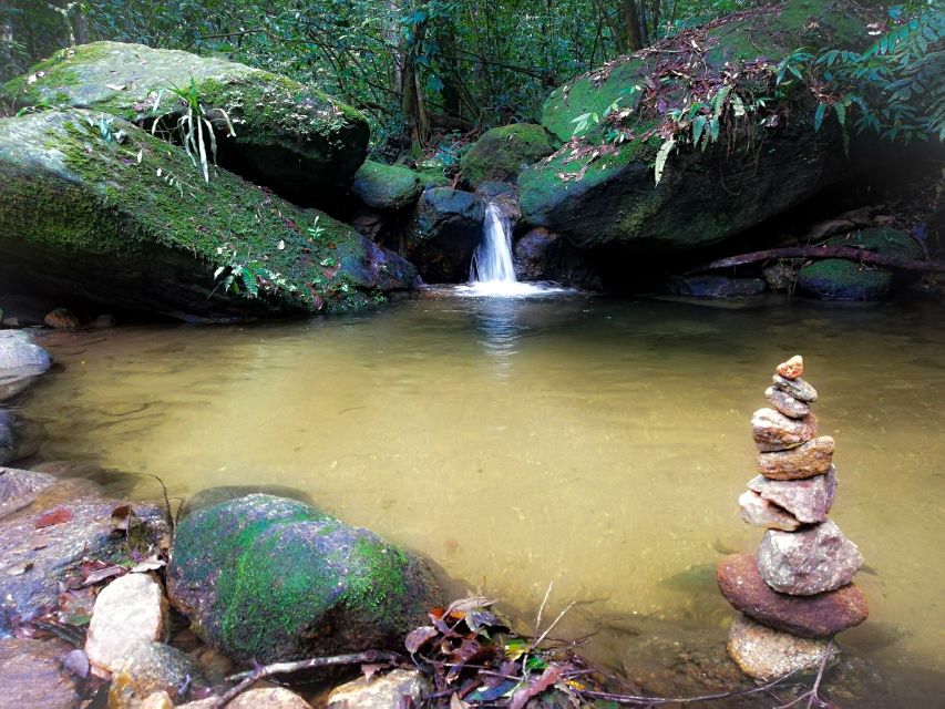 Rio De Janeiro: Tijuca Forest Waterfall of Souls Hike - Frequently Asked Questions