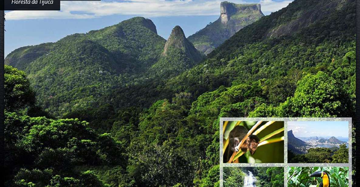 Rio De Janeiro: Tijuca National Park Ecotour - Frequently Asked Questions