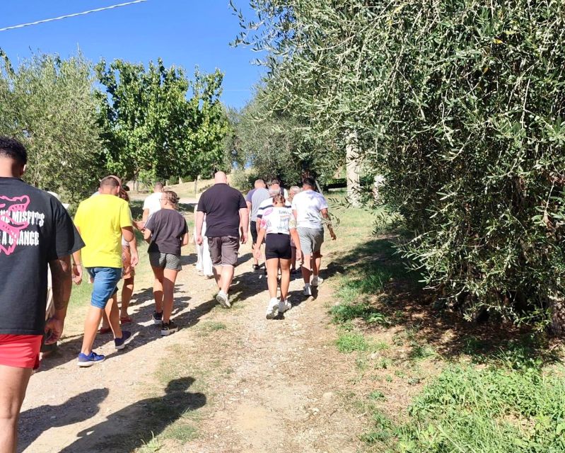 Seggiano: Guided Tour of the Olive Grove and Food Tasting - Frequently Asked Questions