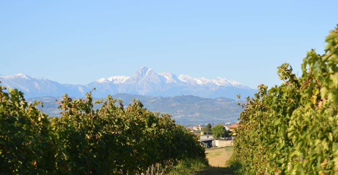 Abruzzo: Historic Cellar Wine Tour and Tasting - Tour Overview