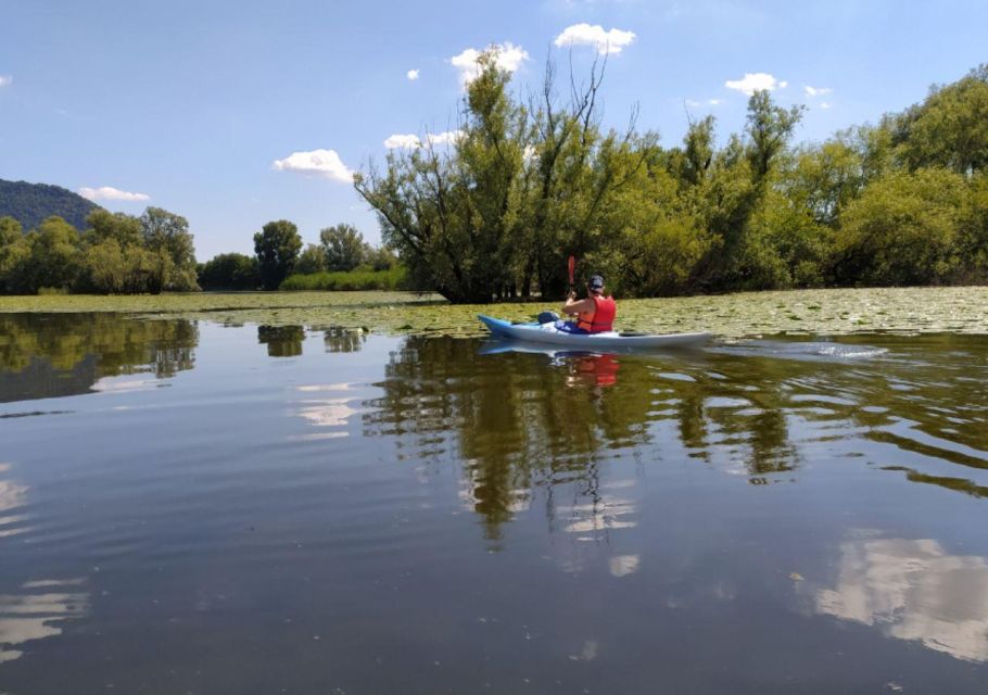 Adda River: Half Day Kayak Trip - Key Points