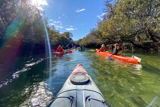 Adelaide Dolphin Sanctuary and Ships Graveyard Kayak Tour - Key Points