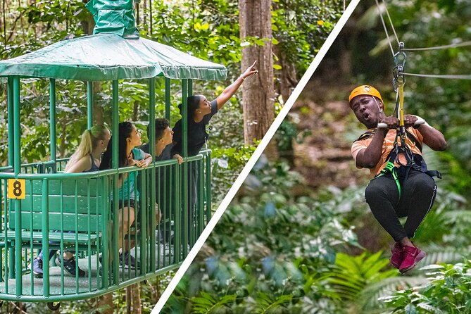 Adrena-Line Zipline Canopy Tour at Rainforest Adventures St. Lucia - Key Points