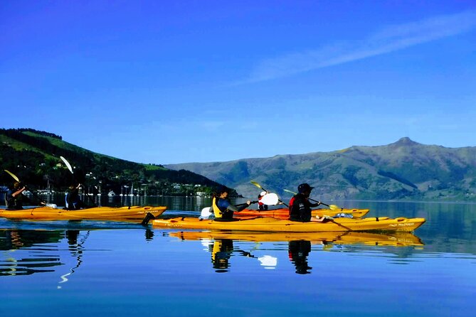 Akaroa Day Trip From Lyttelton Port - Return Shuttle + Sea Kayak or Ebike Tour - Key Points