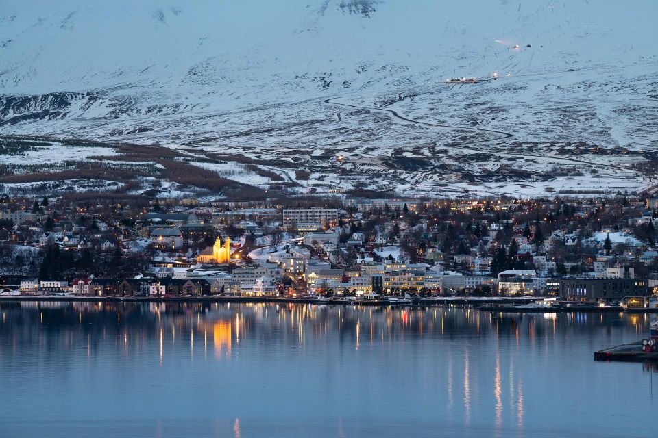 Akureyri: Arctic Coastline & Whale Watching - Overview of Akureyri Tour