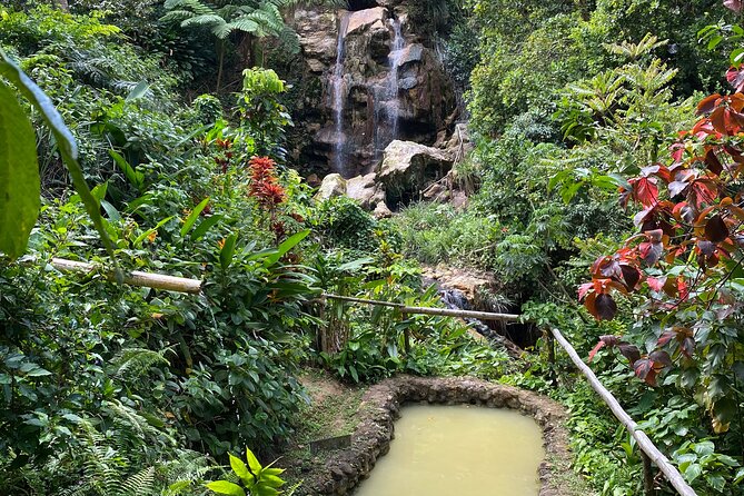 ALL INCLUSIVE St. Lucia Mud Baths, Waterfall & Tet Paul Trail - Overview of the Tour