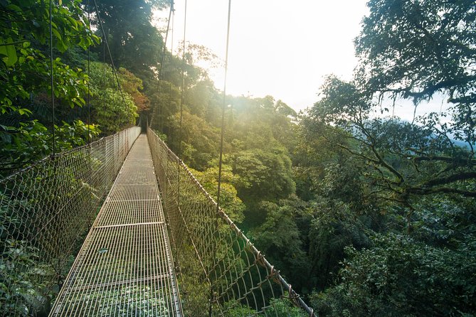 Arenal Hanging Bridges Hiking Tour - Tour Overview