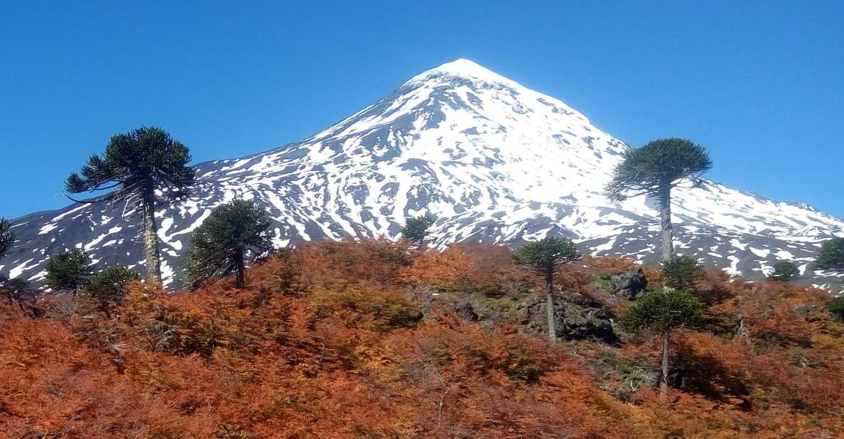 Ascent to Lanin Volcano, 3,776 Meters Above Sea Level, From Pucón