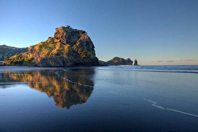 Auckland City Highlights, Afternoon Piha Beach & Rainforest Tour - Key Points