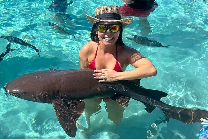 *Authentic Swimming Pigs Tour*Shark Encounter*Feed Iguanas* - Key Points