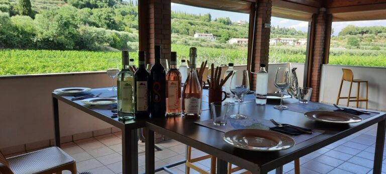 Bardolino: Vineyard Tour With Wine, Olive Oil & Food Tasting