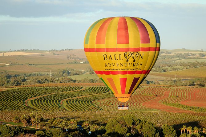 Barossa Valley Hot Air Balloon Ride With Breakfast - Key Points