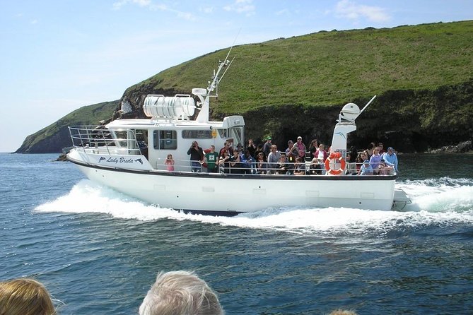 Blasket Island Eco Tour. - Key Points